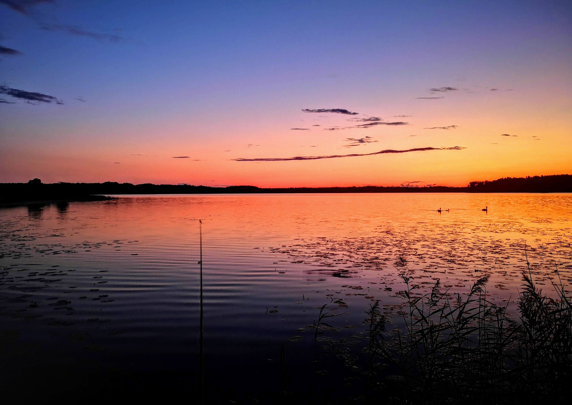 RMK Kaiu järve lõkkekoht